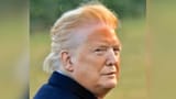 trump-pic-wings