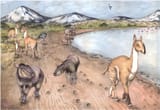 Miocene SANUs
