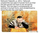 1731355041060951
