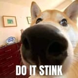 1727626428485439