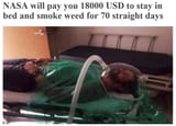 ayylmao