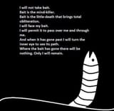 bait2