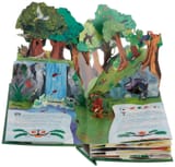 Pop-up book