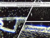 bluetooth21grapheneAntennaAnaMihalceamd