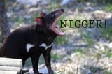 NIGGER!