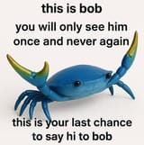 bob