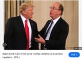 trump kike blackrock jews