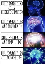 hungarians are gypsies