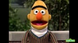 bert6hunf5
