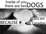 1752827212568972