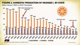 FloridaNoranges