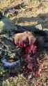 1694148347483321(1)_thumb.jpg