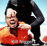 nigger_copt