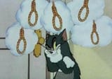 GjcN5lEWIAEFrgo