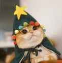 wizard