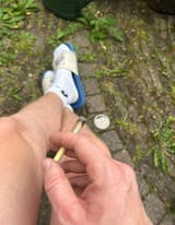 IMG_2116