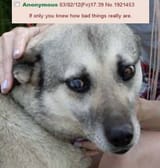 If only you knew how bad things really are (you just know edition)