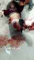 shredded pali skank_thumb.jpg