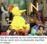 big bird reality warper