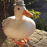 DapperDuck
