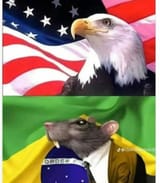 death to Brazil
