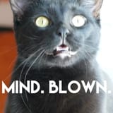 Duck mind blown