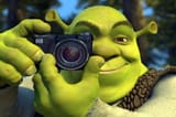 snap
