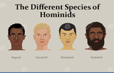 species_of_hominids