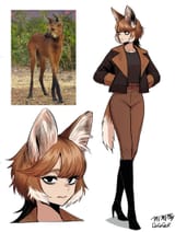 maned wolf