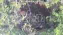 video-2025-07-18-13-37-01_thumb.jpg