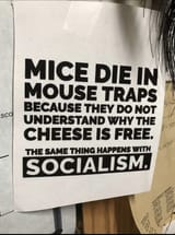 mouse_traps