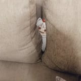 awoo sofa