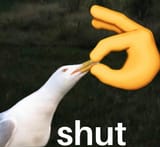1740759785006569