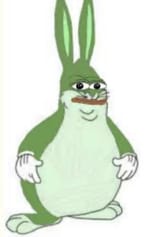 1713221342303775