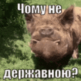 ua