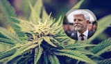 legalize_it