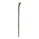 blackthorn stick