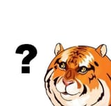 1581388225439