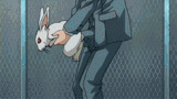 bunny sex