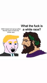 what the fuck is a white race