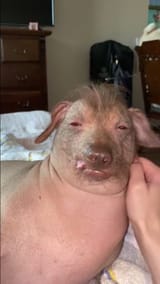 1647304404308