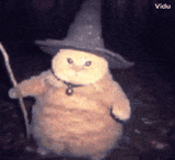 mage-cat-wizard