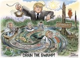 remember the swamp