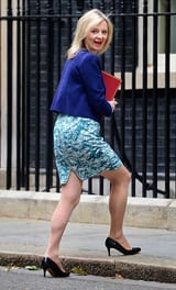 liz arse