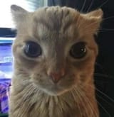 1752878224306264