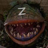 killerShrubz