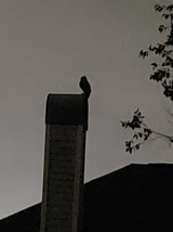 11052024