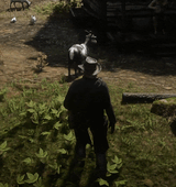 1737401740530232
