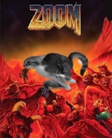 Zoom
