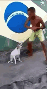 brazil